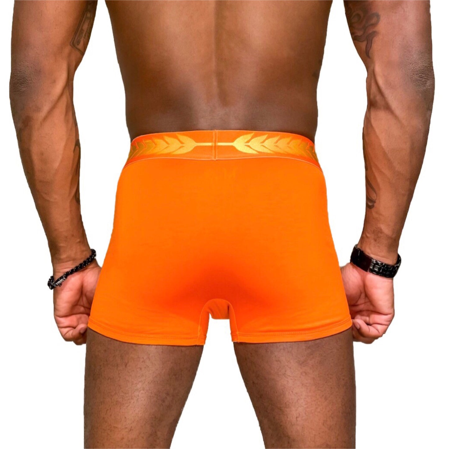 Fox Boxer Briefs