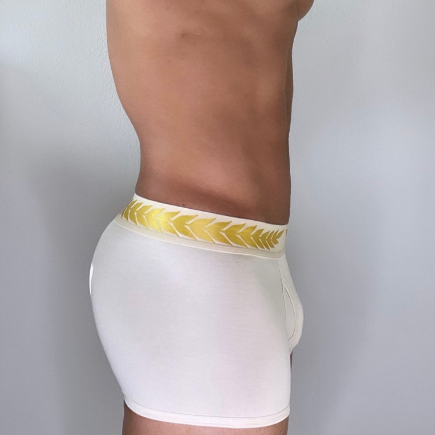 Crème de la Crème Boxer Briefs (not white)